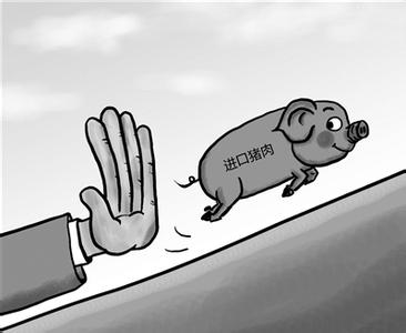 我國不會大規(guī)模進口豬肉 自給率接近99%