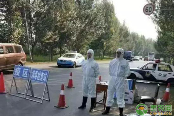 “非洲豬瘟”出現(xiàn)那么市場(chǎng)上的豬肉還能吃嗎？（附豬瘟防治措施）